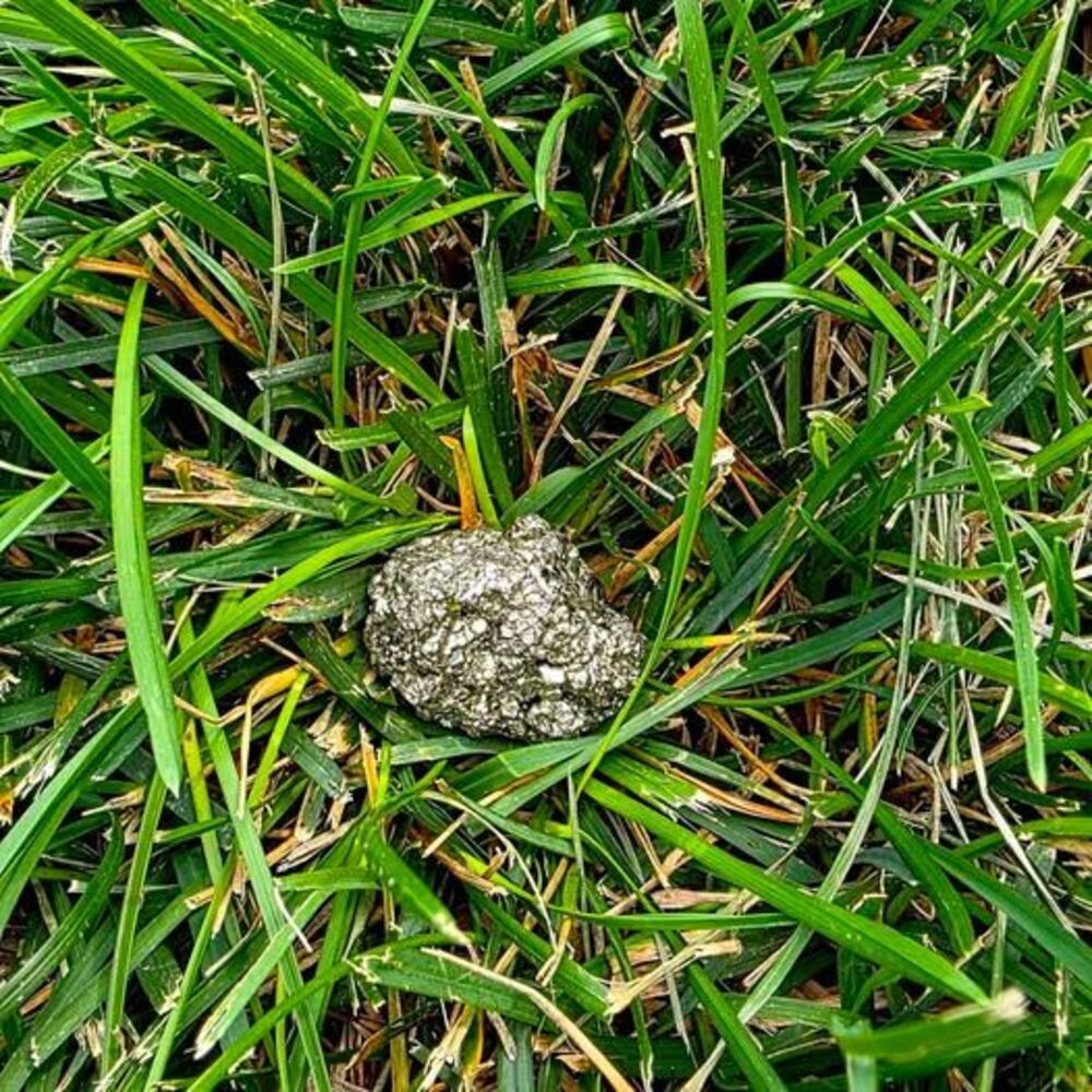 Natural Pyrite Crystal Cluster - Picture 2 of 4
